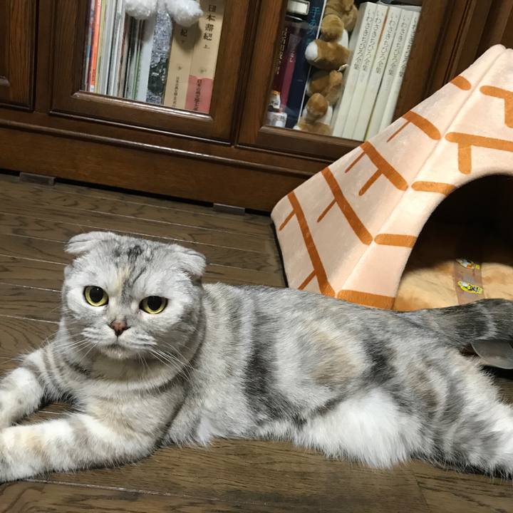 0fb56337 c994 46ed b3b0 c89fb9a25237