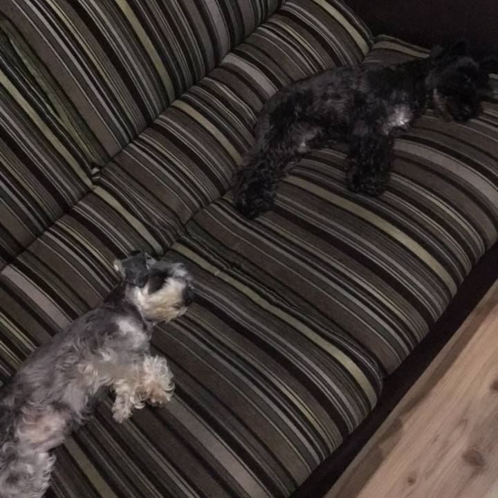 0fb57fa9 22a5 4ce1 850c 871a377ecb46