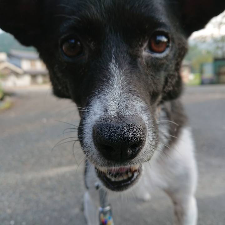 0fb5b096 ac75 4919 a31d c59bdcefcfd2