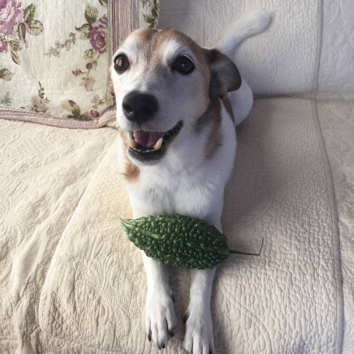 0fb68195 8cec 4781 badd 839336e6d2be