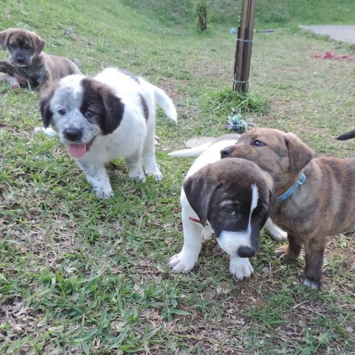 0fb6d3b5 fd19 4ba5 961e ae98adb0e220