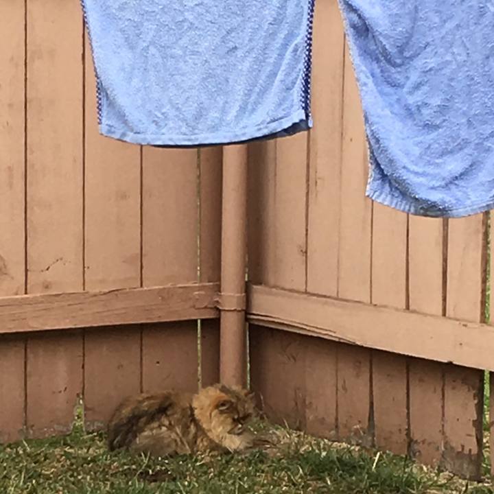 0fb6e02f 477f 4997 9c81 7df32a5b28a9