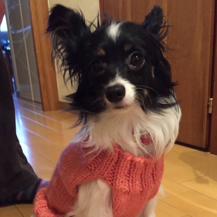 0fb849a6 61ec 4422 93aa 2d7b8391bc06