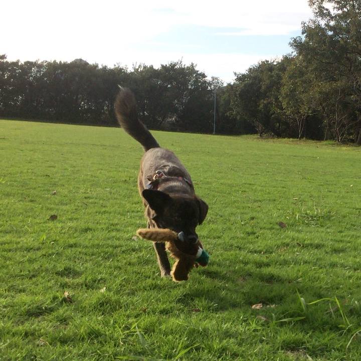 0fb84a18 01ce 4cd4 abf9 dae3a28ddc67