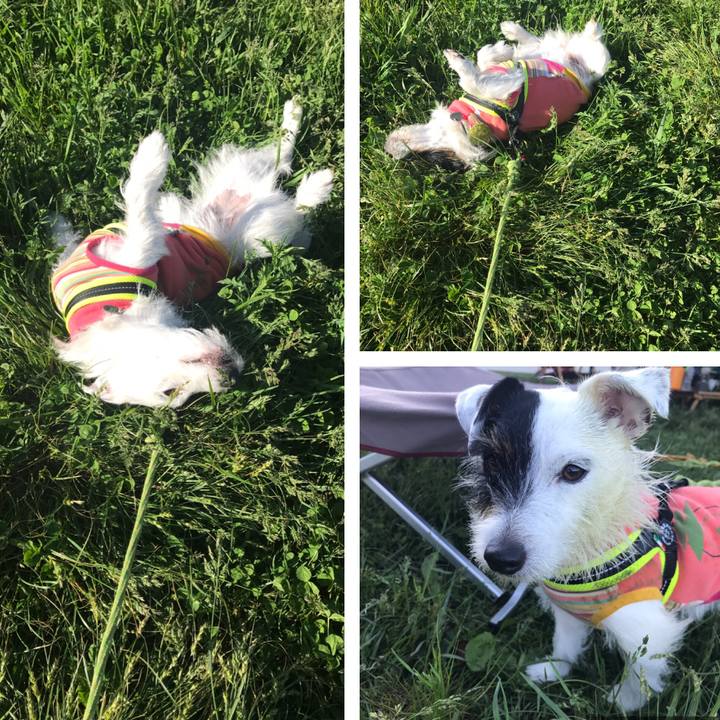 0fb87ca7 1932 4d6f 86bf a218de813a30