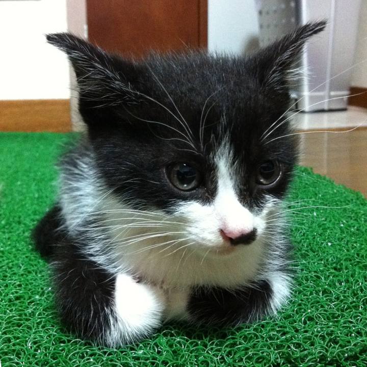 0fb8b01a 8c80 4966 bfe2 3a5a145c4213