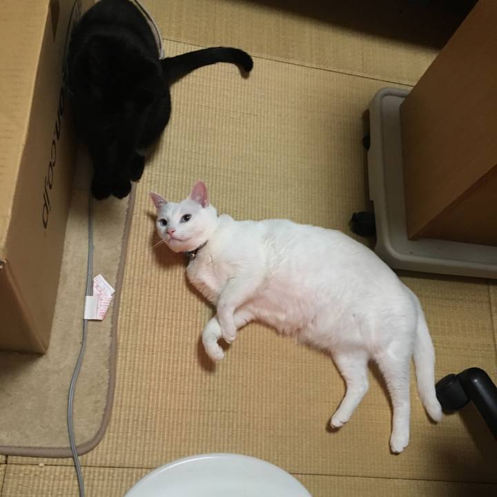 0fb8c337 ae21 4473 9e45 a7af54bcc25f