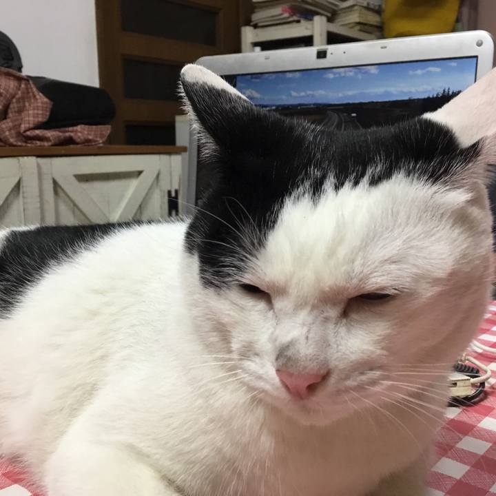 0fb8df94 7000 4008 a787 e23925c460f6