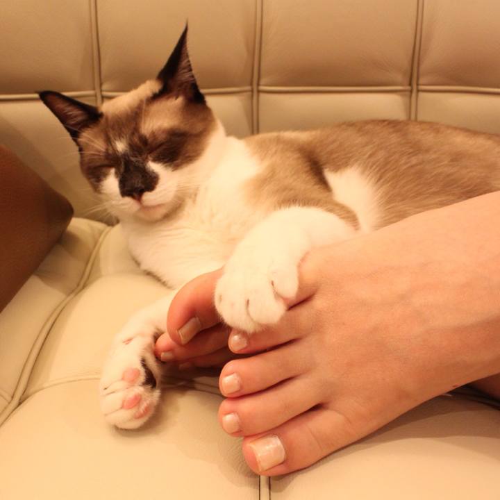 0fb9c177 7635 42c9 a399 02c9a08324e3