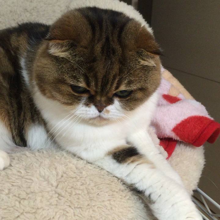 0fb9c224 a0e0 4ace ac9f cf7fd856dc86