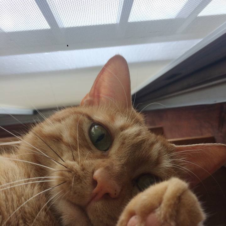 0fb9d7f5 5fb0 4194 baaf 0cc1db2787b4