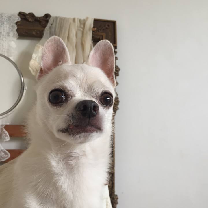 0fba2b7e c883 439d 8ef9 7d8fbccb6134