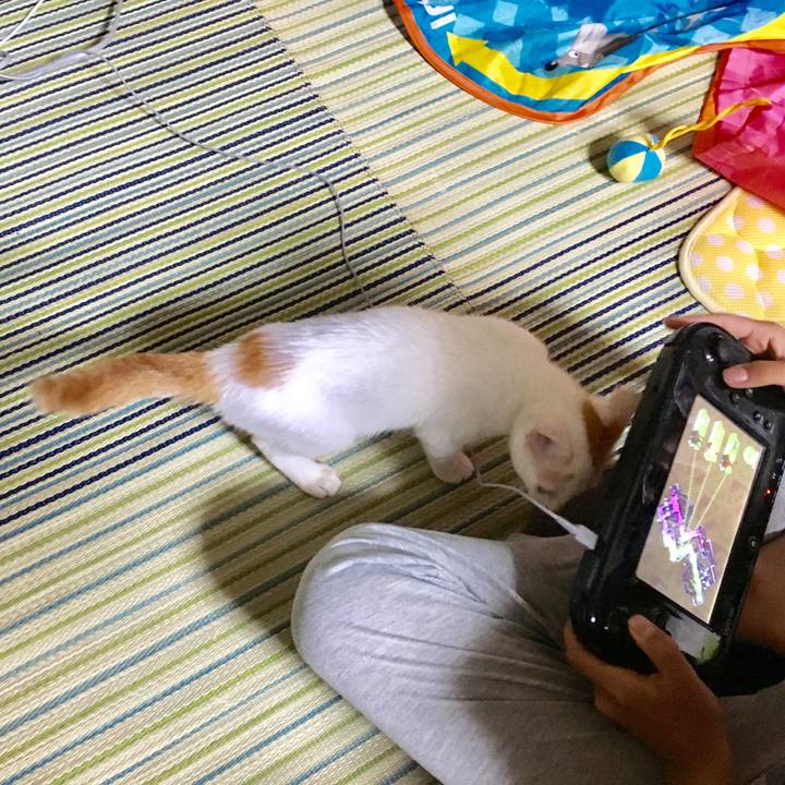 0fbad2ba f34c 4973 b914 0ad940e21b5c