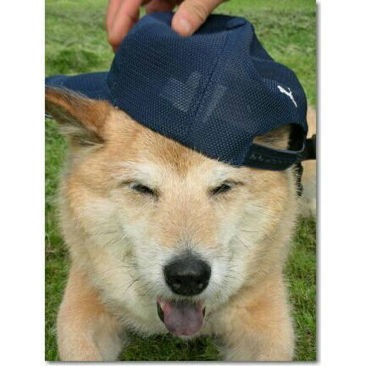 0fbb28c6 4de8 450e 884a 8abe618935aa