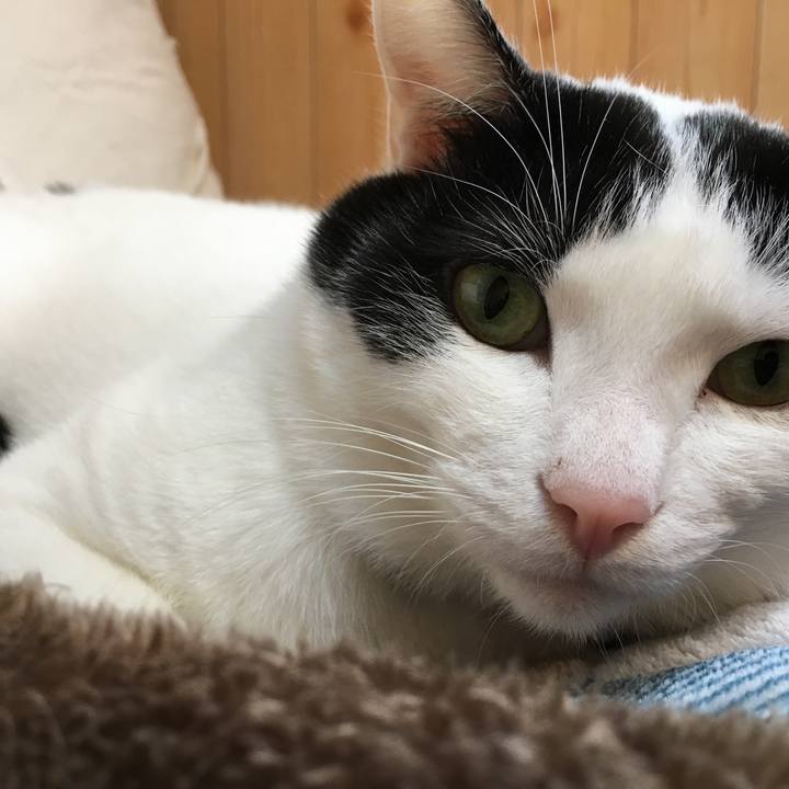 0fbc1355 a39f 44a7 9e43 5958fd2dd890