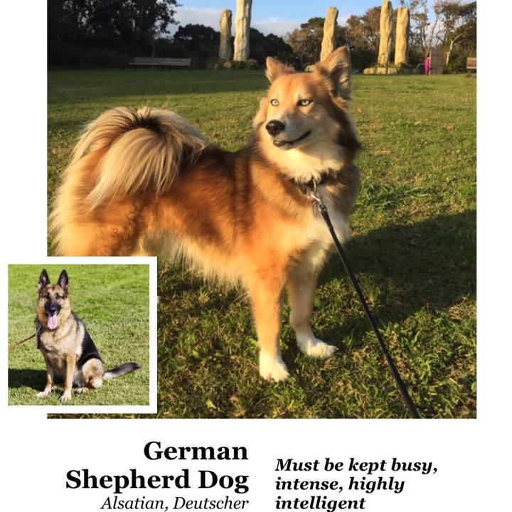 0fbcc676 28b6 448f 8ed5 709b4210affe