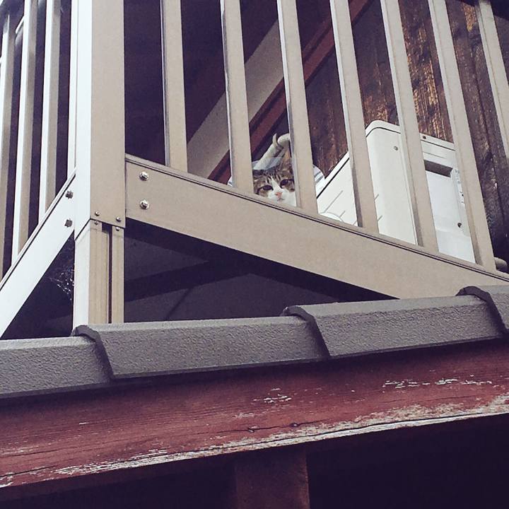 0fbcd5bd f6ad 401e 85d7 749350774c4d