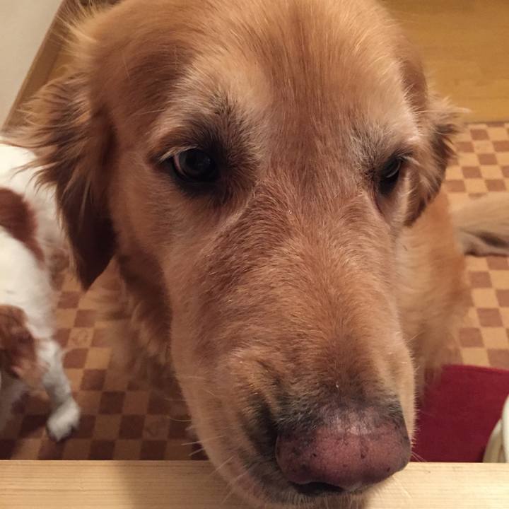 0fbd17d4 1adb 4634 9eaa 9ddaedb57266