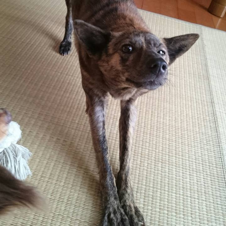 0fbdc962 4c38 446a 9eca 37bb52e790d2