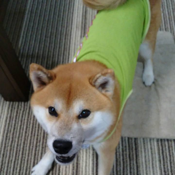 0fbde4ed c4dd 42de 9251 5678b24e6cd7