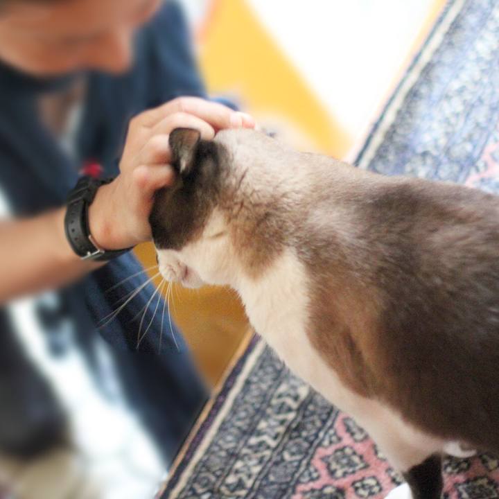 0fbe2c2a 277b 4650 a2f3 69a6deec364d