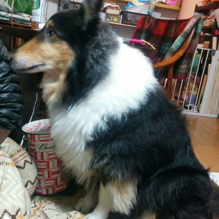 0fbefa1f b4c2 4d98 8d45 c960b9a6b60b