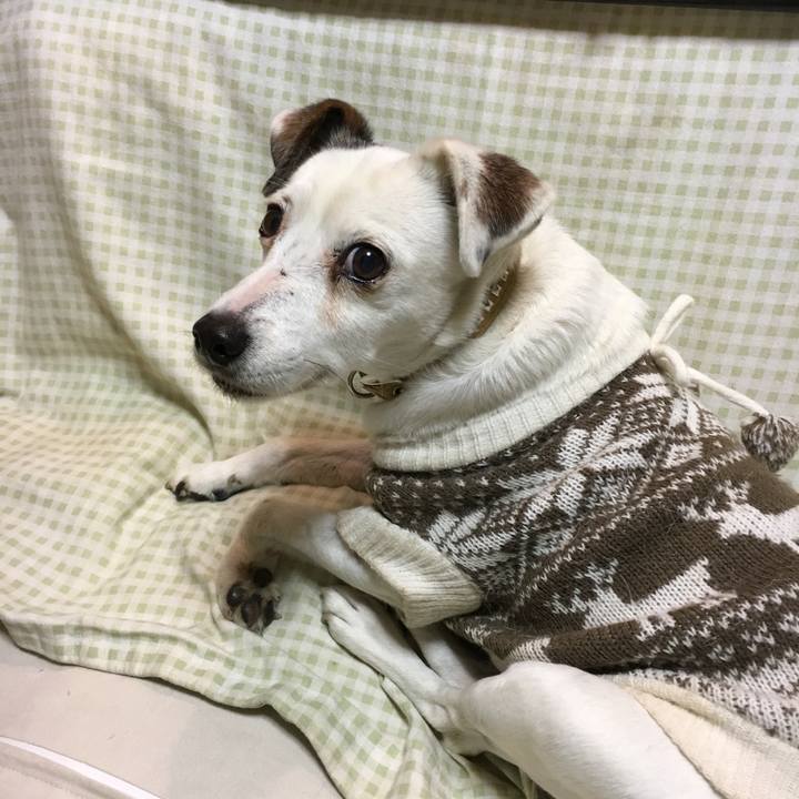 0fbf7474 db8f 43a4 9daf 6c22d8390554