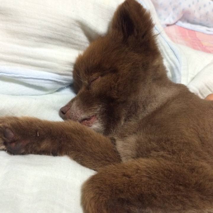 0fbfd22f b141 4ef2 b76e 40b64f5d242d