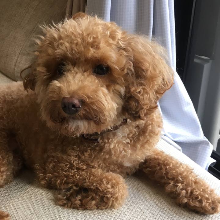 0fc00e71 ab6d 43d6 b003 741077a26e21