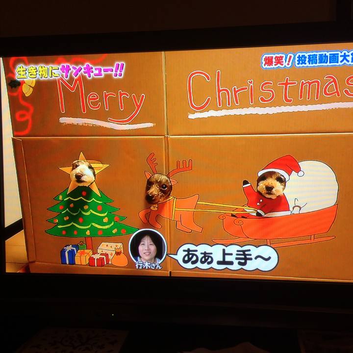 0fc0390a 46dd 4b84 99e1 bf0655a843fa