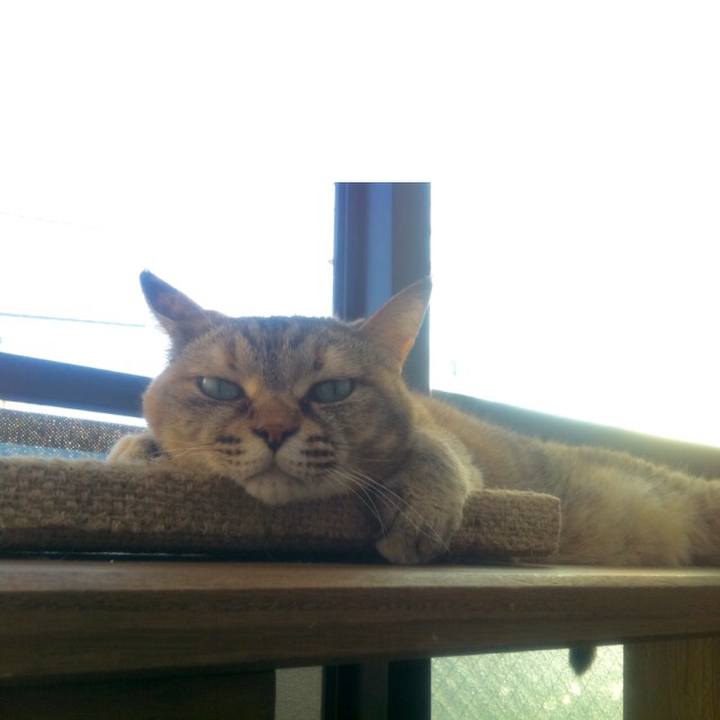 0fc07e48 1bfe 4438 a722 167098870493