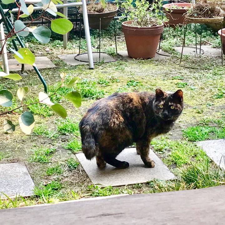 0fc0b4c5 7120 40ca bb70 b117c52332ab