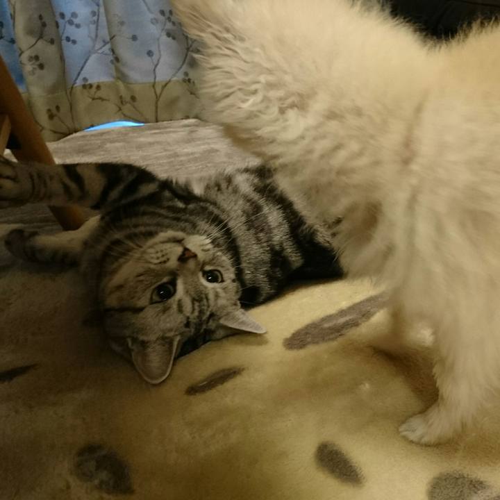 0fc1e5c8 409b 4b23 94d1 365862d0dc3c