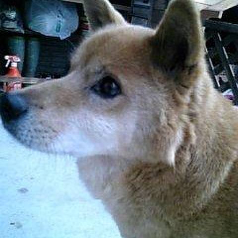 0fc26a80 0dbb 4441 ae7c 43d790b4bc05