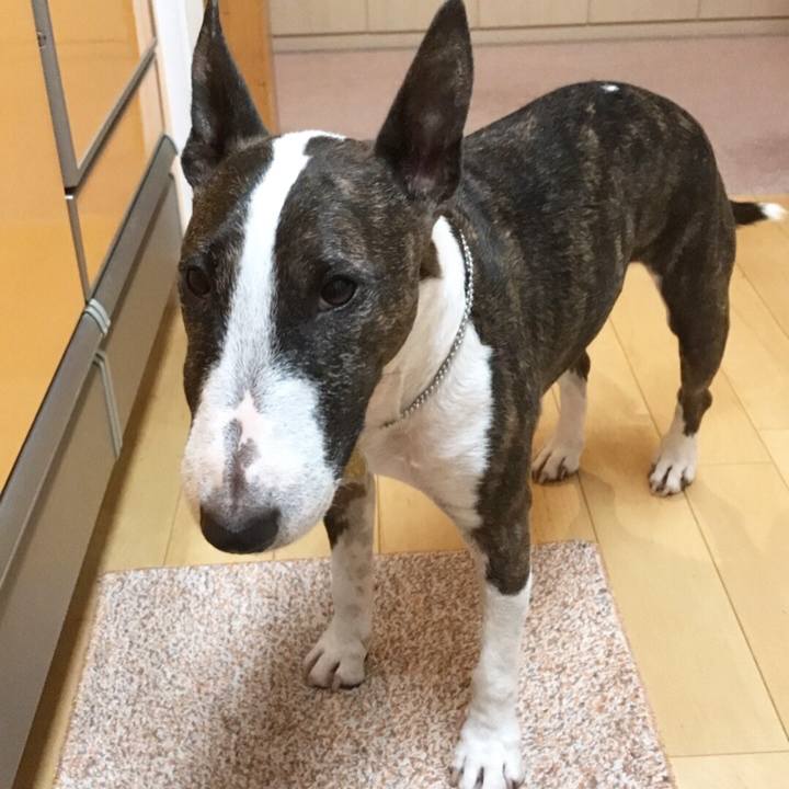 0fc2e1b8 ed06 46fc b6d5 0d22f57682e3