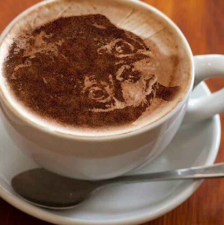 0fc35d12 aae1 4f73 a9bc 0b5c8fac91b3