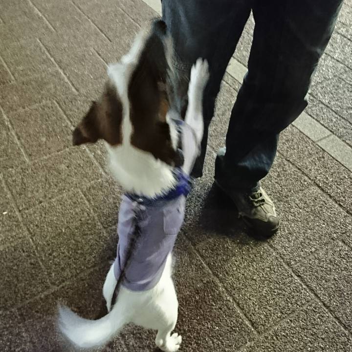 0fc3d933 7520 4c26 816e 0f106e6476ab