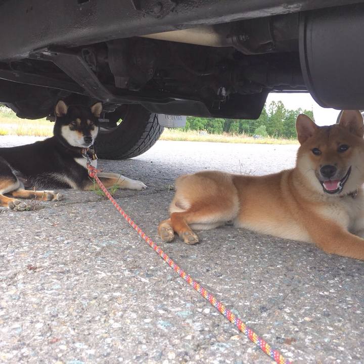 0fc3e88b be6d 4358 870b 833d6ba2efd5