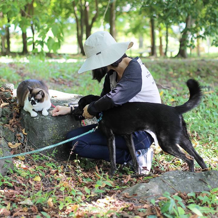 0fc3ef74 587d 45ff 8ced bcdb37535ff3