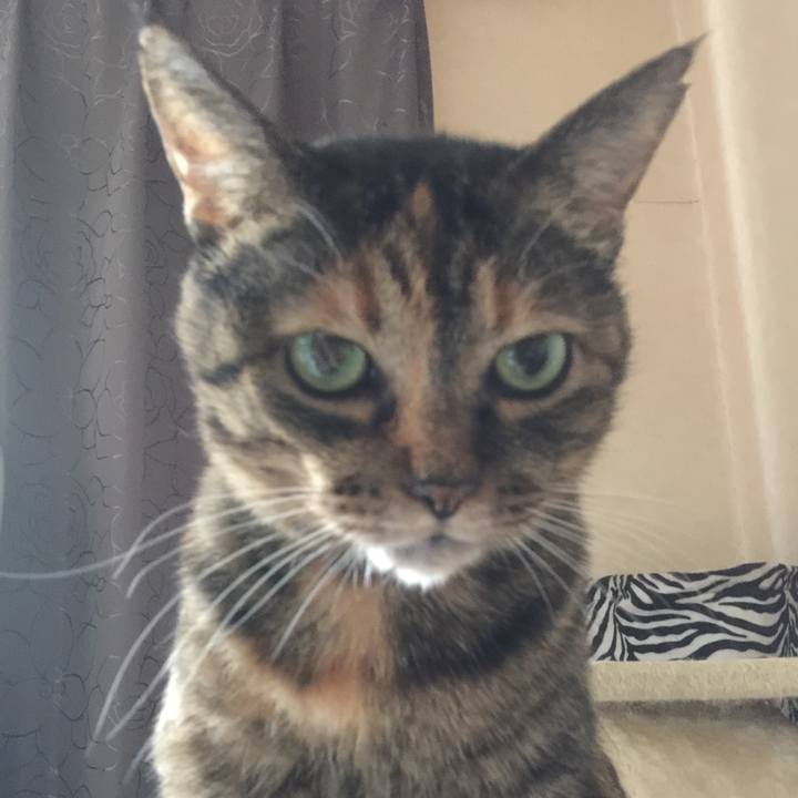 0fc4318e d85f 4220 9d38 40f545105c97