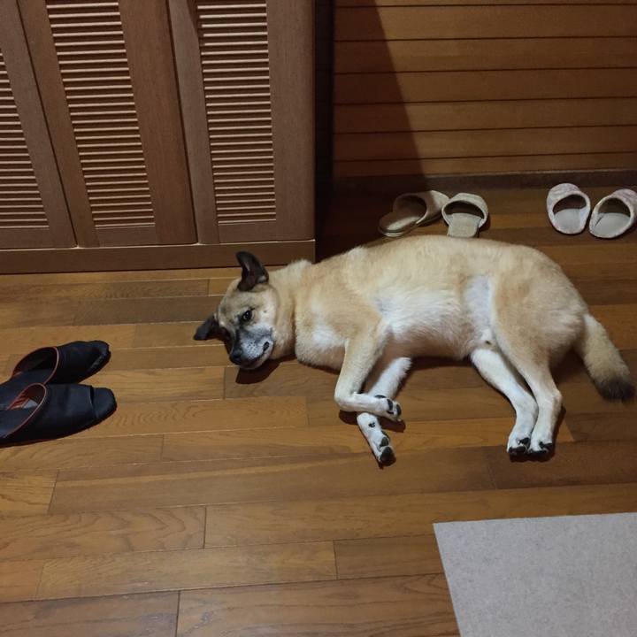 0fc4f2a6 900b 46a7 97af 3e6c160d2cef