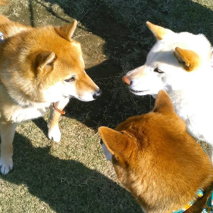 0fc600ca 8bca 4698 a525 951533ecf942