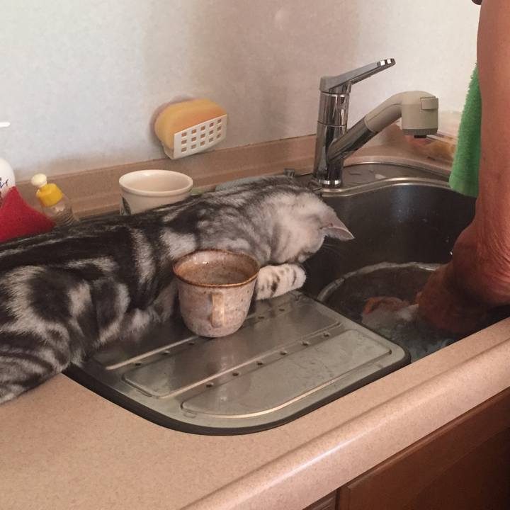 0fc6fa4b 38cb 4d34 b477 b4f7c422adf2