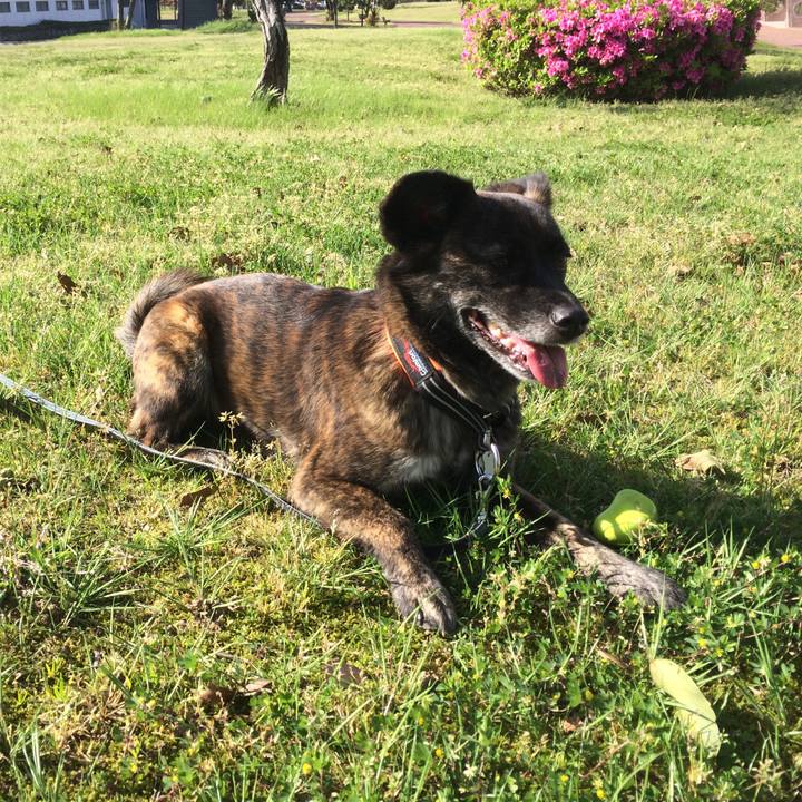 0fc83ae3 f2fb 408e b203 2a628f44bfd3