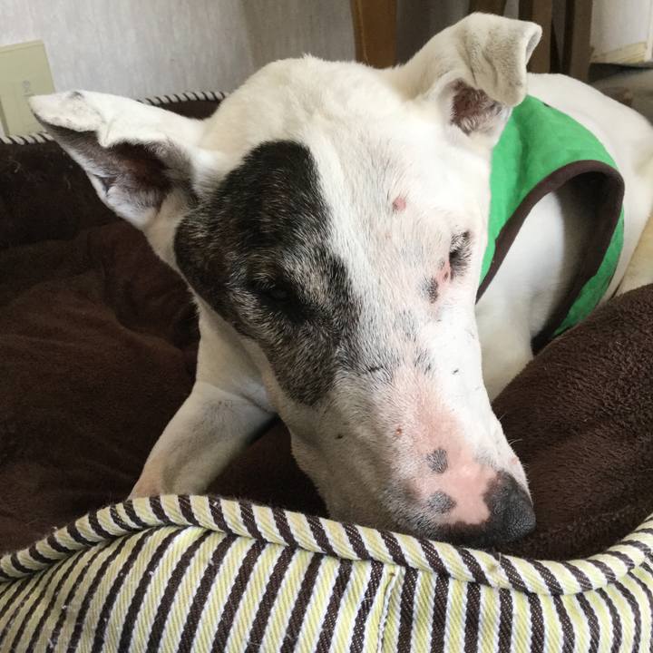 0fc8639f 9f0e 4c20 a85b 8277f0a4a3e4