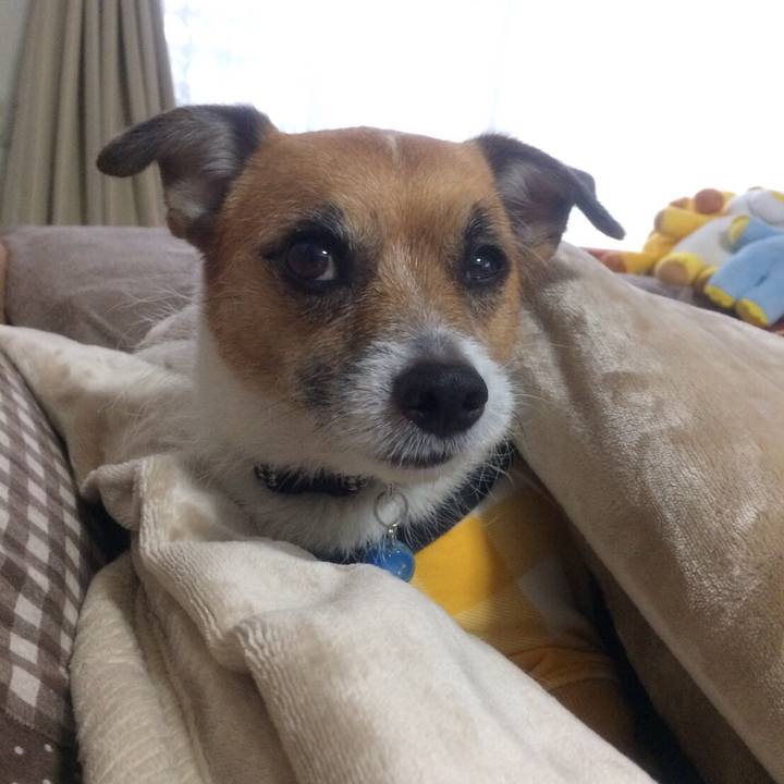 0fc8f6c8 ae1b 4297 89ac 3ed04d378d0b