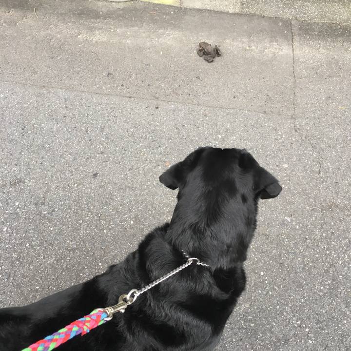 0fc95b7d cca6 43a9 8907 730d806e0a57