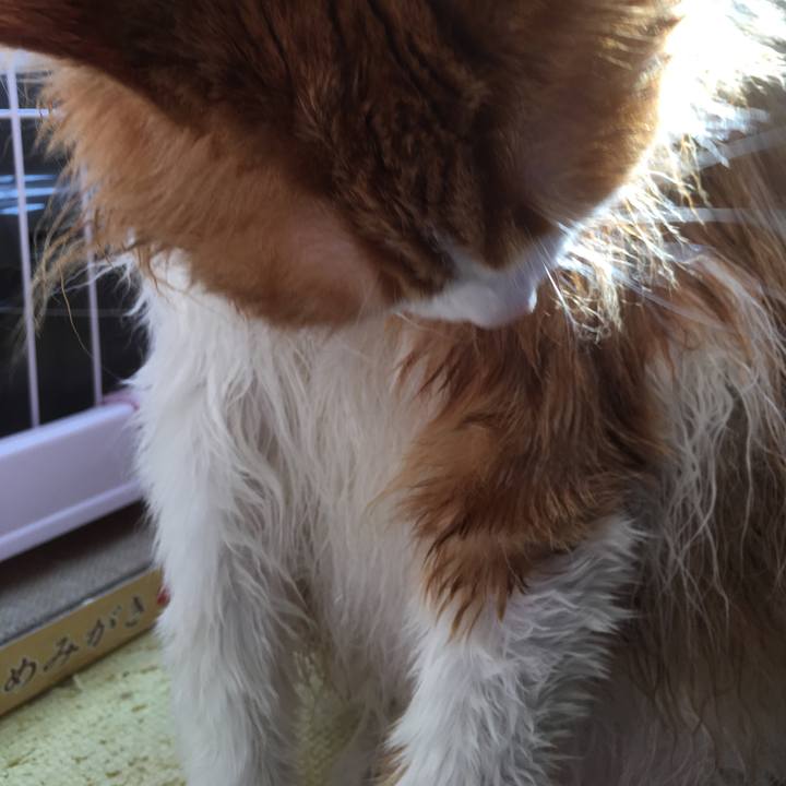 0fc963df 2342 434a 89cd 82f21434c3ae