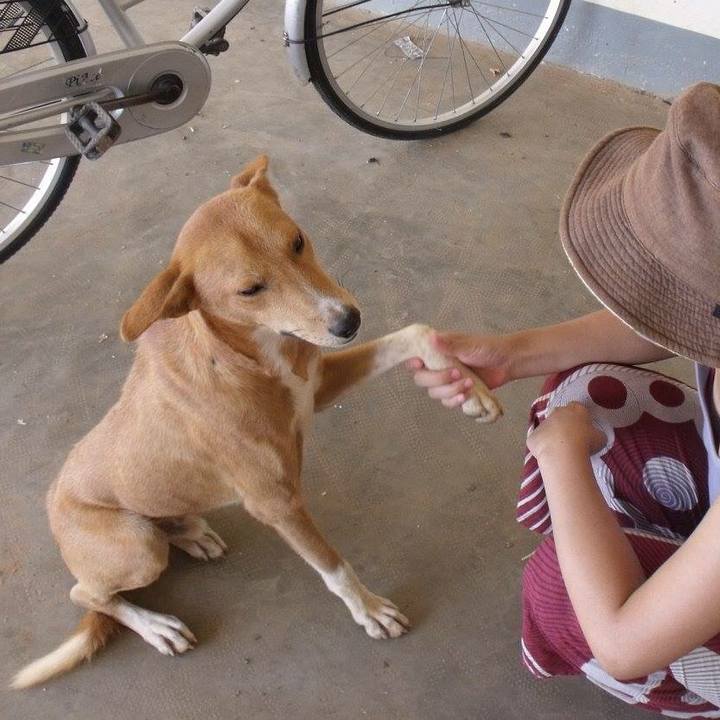 0fc9e13d 5a72 4821 a413 c0723a2fa1a2