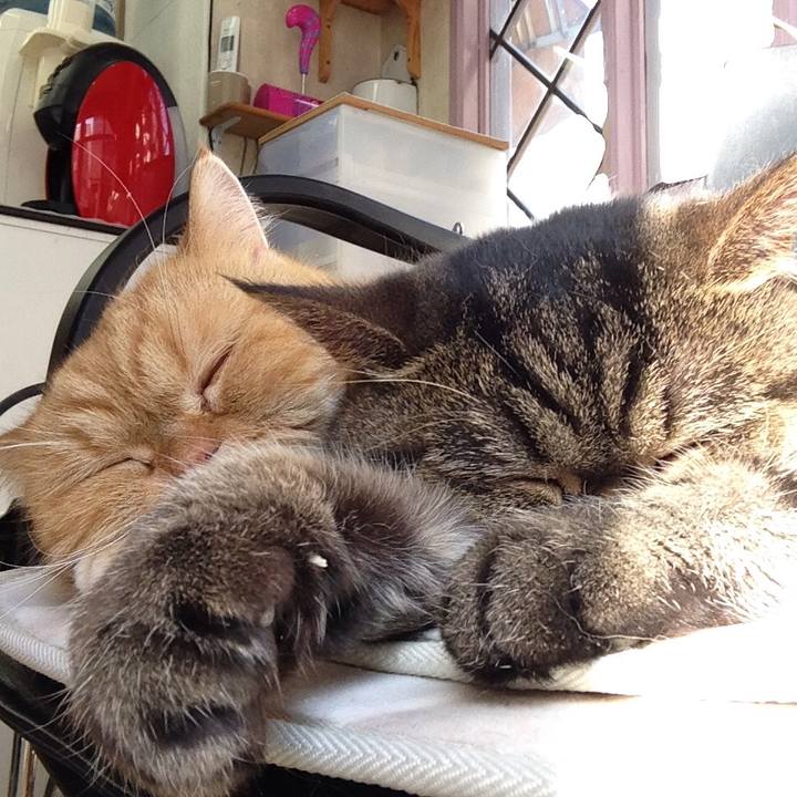 0fc9eeb8 e073 4311 a785 6e918998d3a6